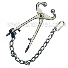 Bull Lead with Chain